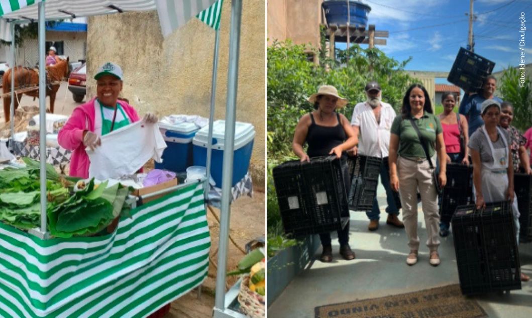 Doações do Idene ajudam agricultores familiares a venderem produtos nas feiras municipais