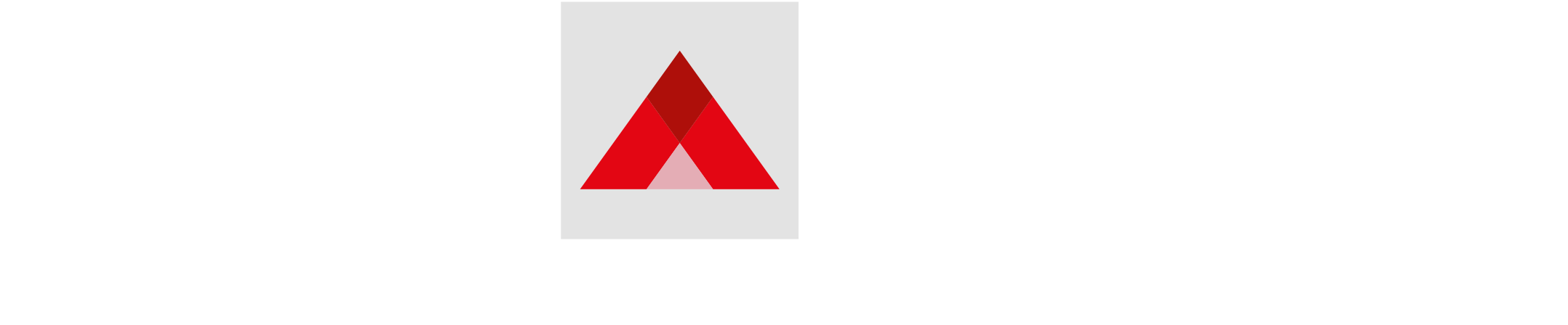 LOGO BRANCA